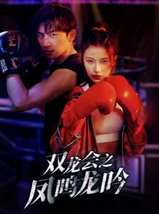 双龙会之凤鸣龙吟 第1-20集