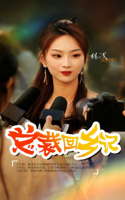 总裁回乡记 第21-40集