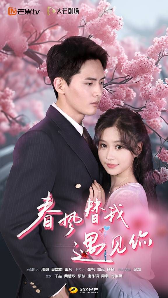 春风替我遇见你 第21-40集