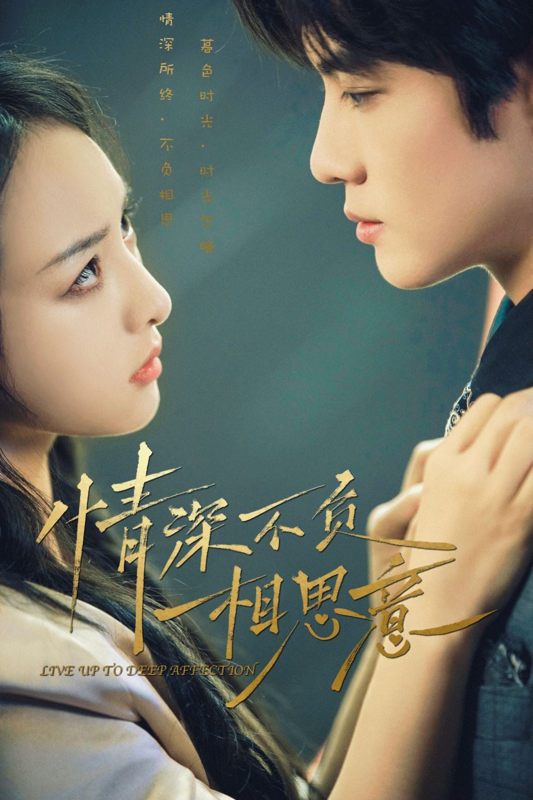 情深不负相思意 第41-60集