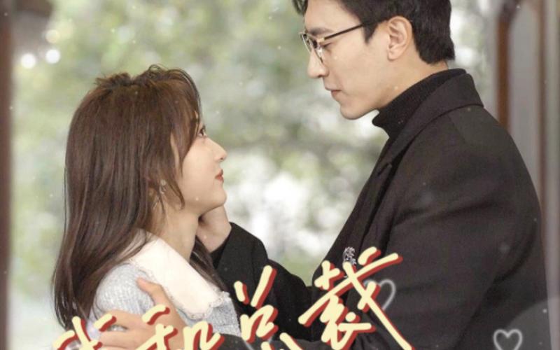 我和总裁互相装穷 第41-60集