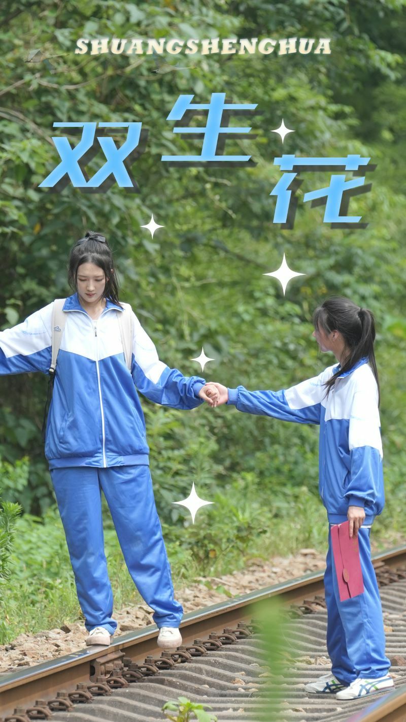 双生花 第1-20集