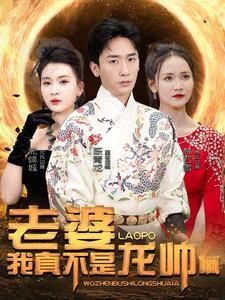 老婆我真不是龙帅啊 第41-60集