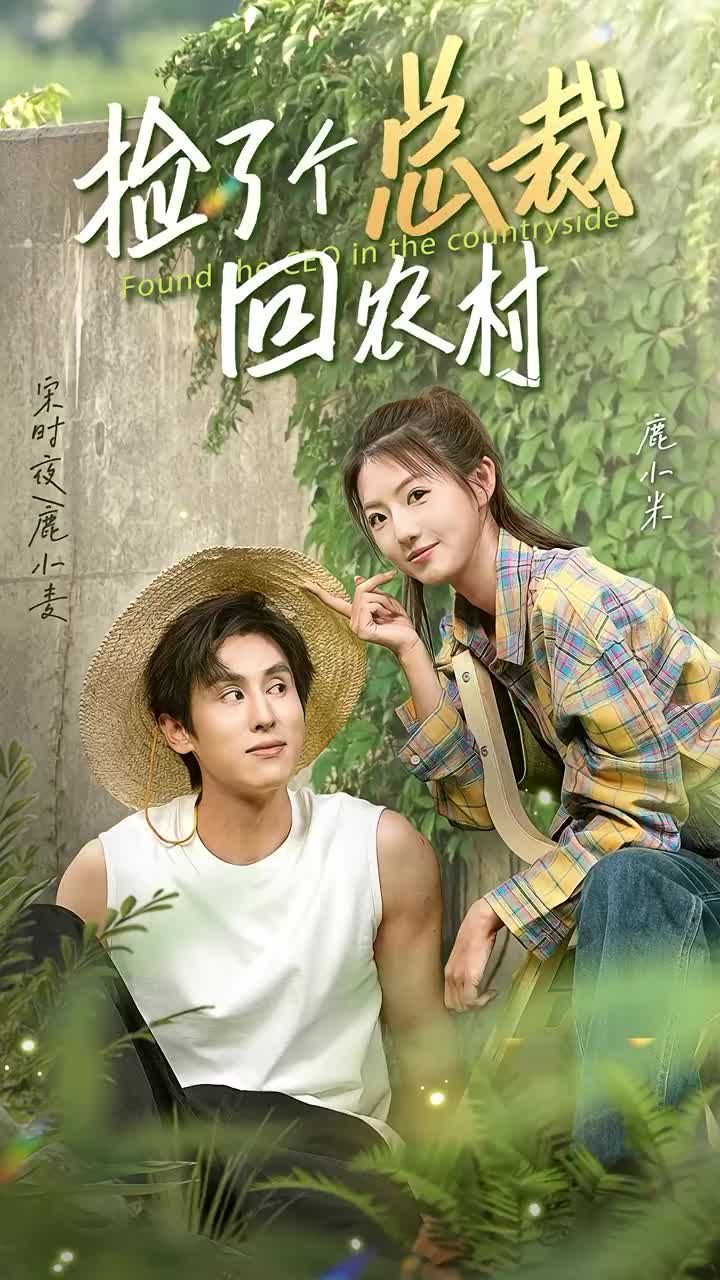 捡了个总裁回农村 全集(大结局)