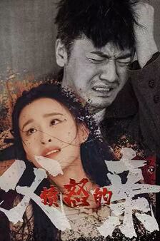 愤怒的父亲 第21-40集