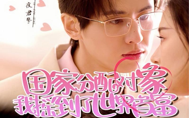 国家分配对象我摇到了世界首富 第41-60集