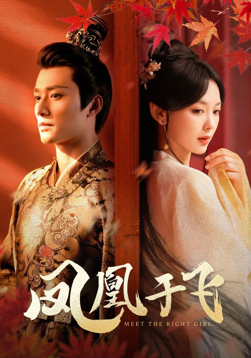 凤凰于飞 第41-60集