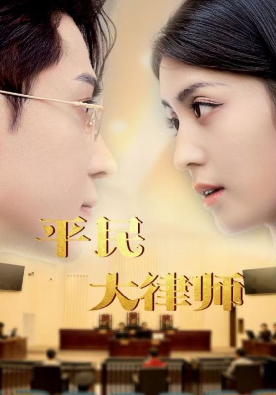 平民大律师 全集(大结局)