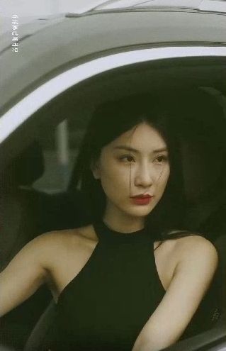 特工凤凰（绝色特工） 第41-60集