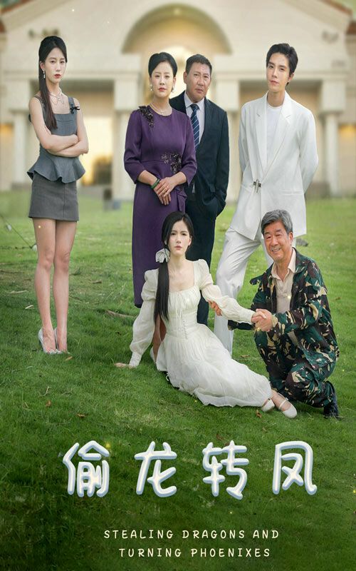 偷龙转凤 第41-60集