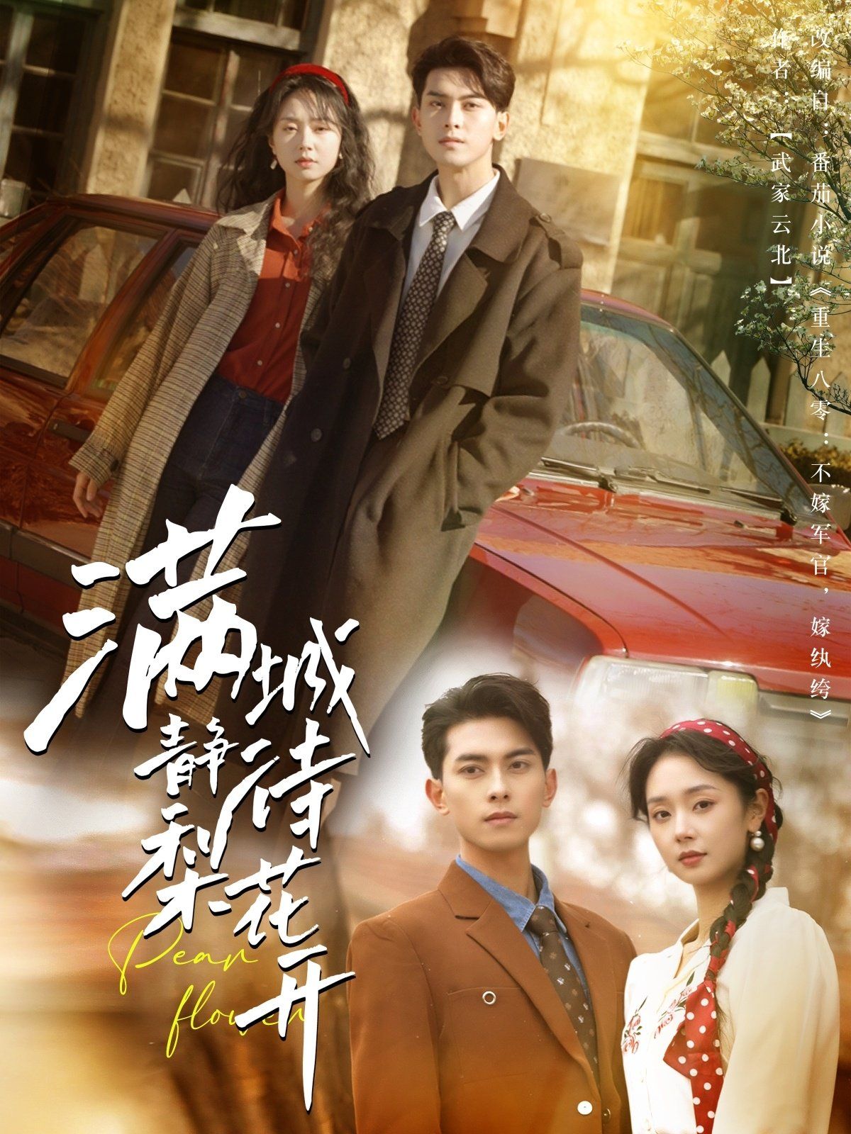 满城静待梨花开 第1-20集