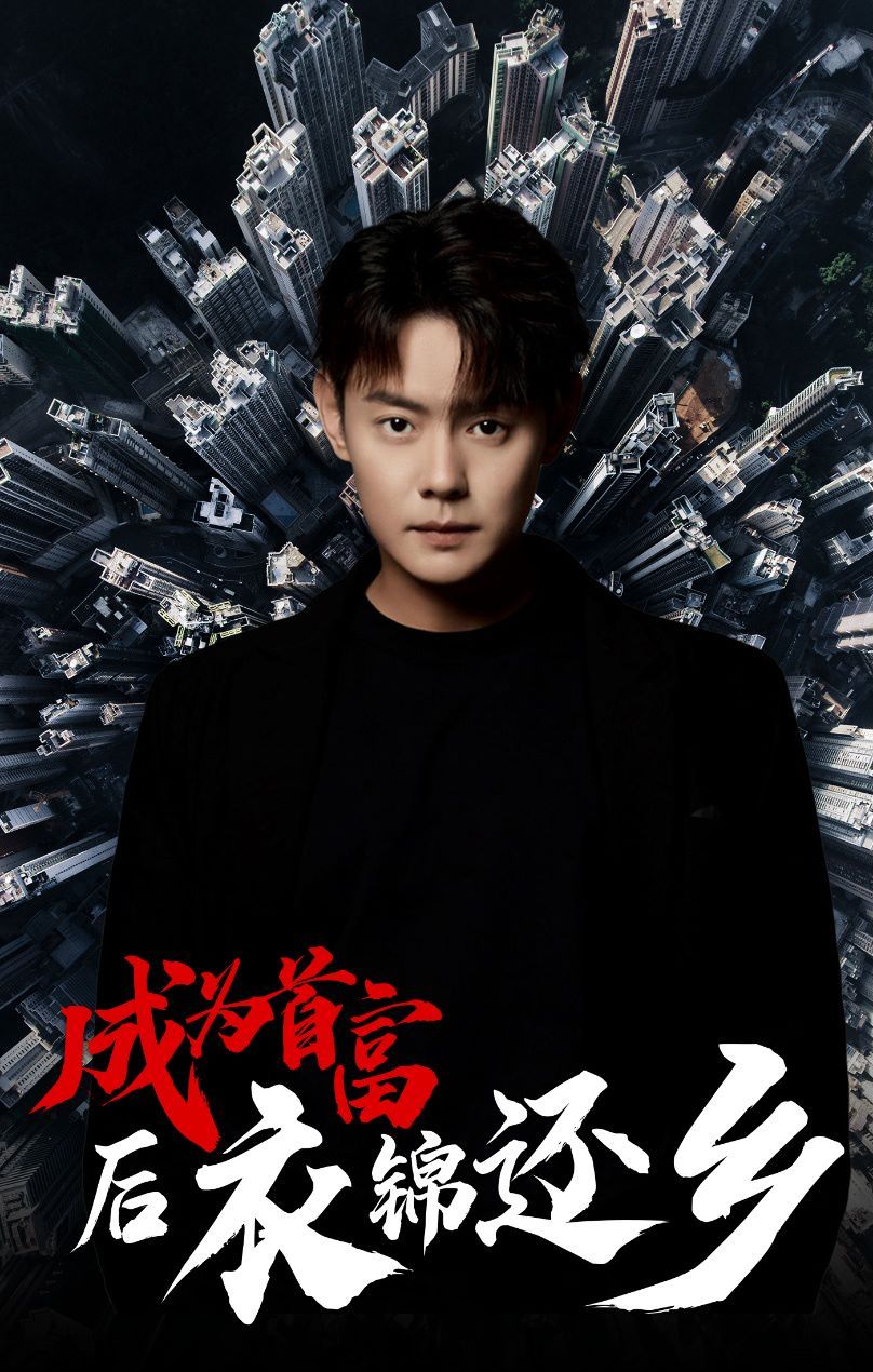 成为首富后衣锦还乡 第1-20集