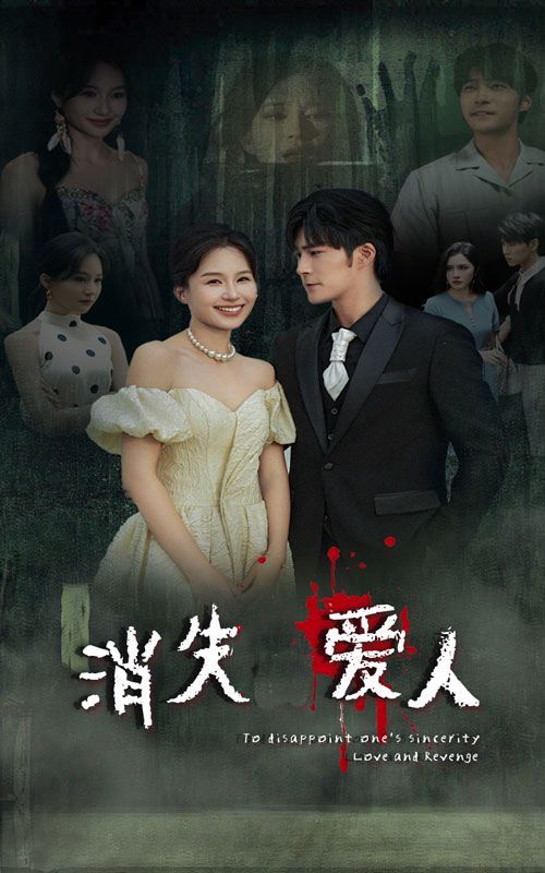 消失爱人 第1-20集