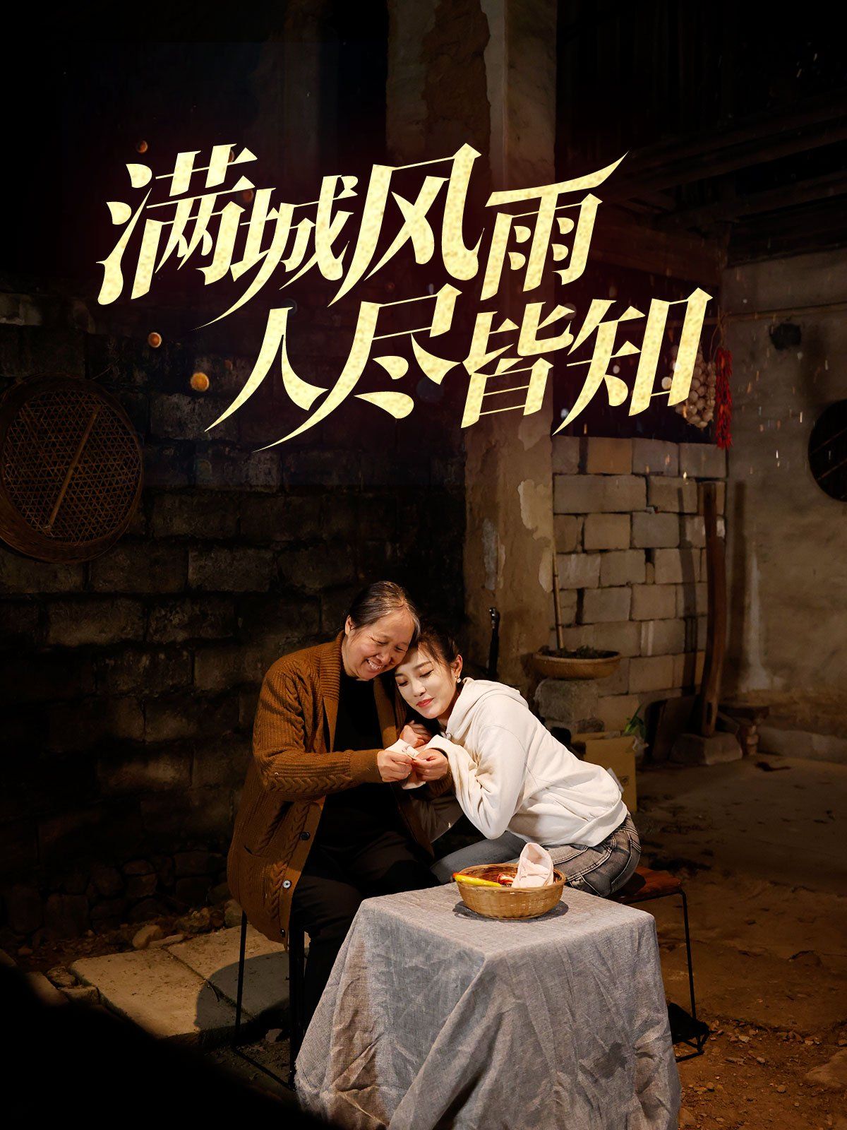 满城风雨人尽皆知 第1-32集完结(大结局)