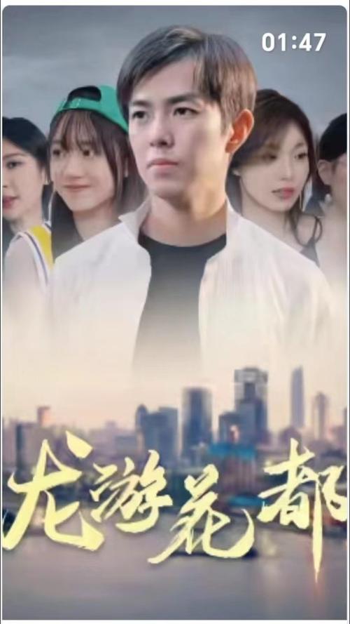 龙游花都 第61-80集