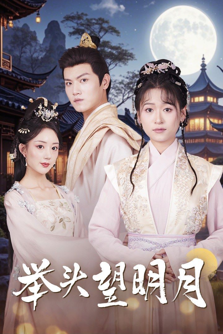 举头望明月 全集(大结局)