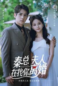 秦总，夫人在找你离婚 第41-60集