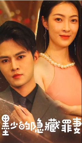 墨少的隐藏罪妻 第1-20集