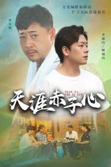 天涯赤子心 第1-20集