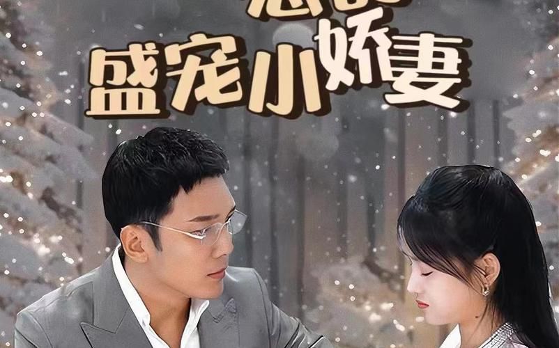 冷总的盛宠小娇妻 第1-20集