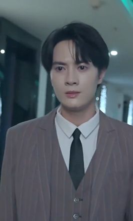 凛冬散尽星河长明 第21-40集