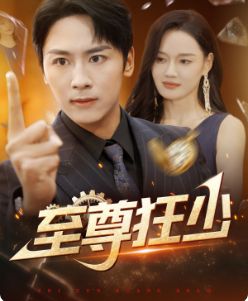 至尊狂少 全集(大结局)