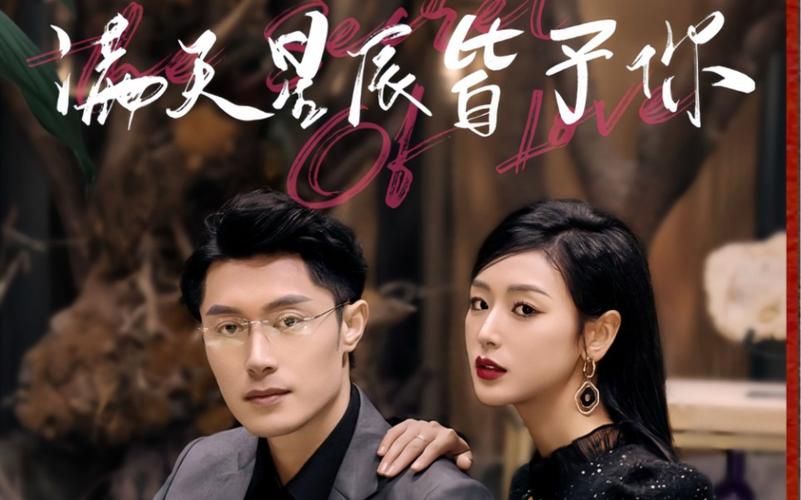 满天星辰皆予你 第1-30集