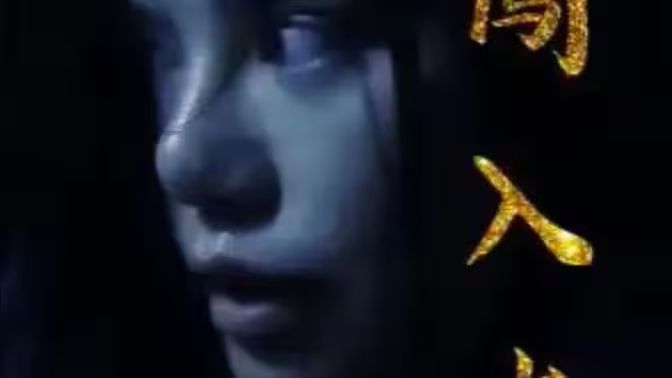 闯入者 第1-20集