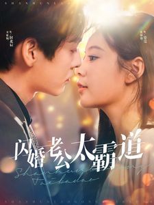 闪婚老公太霸道 第61-80集