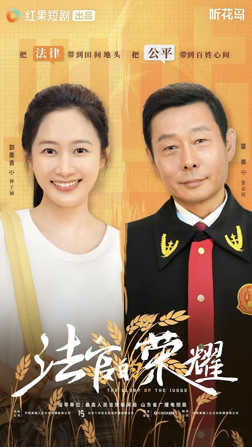 法官的荣耀 全集完结(大结局)