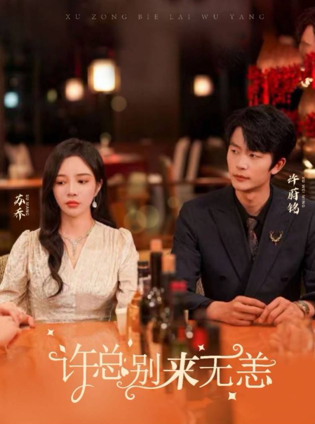 许总别来无恙 第1-20集