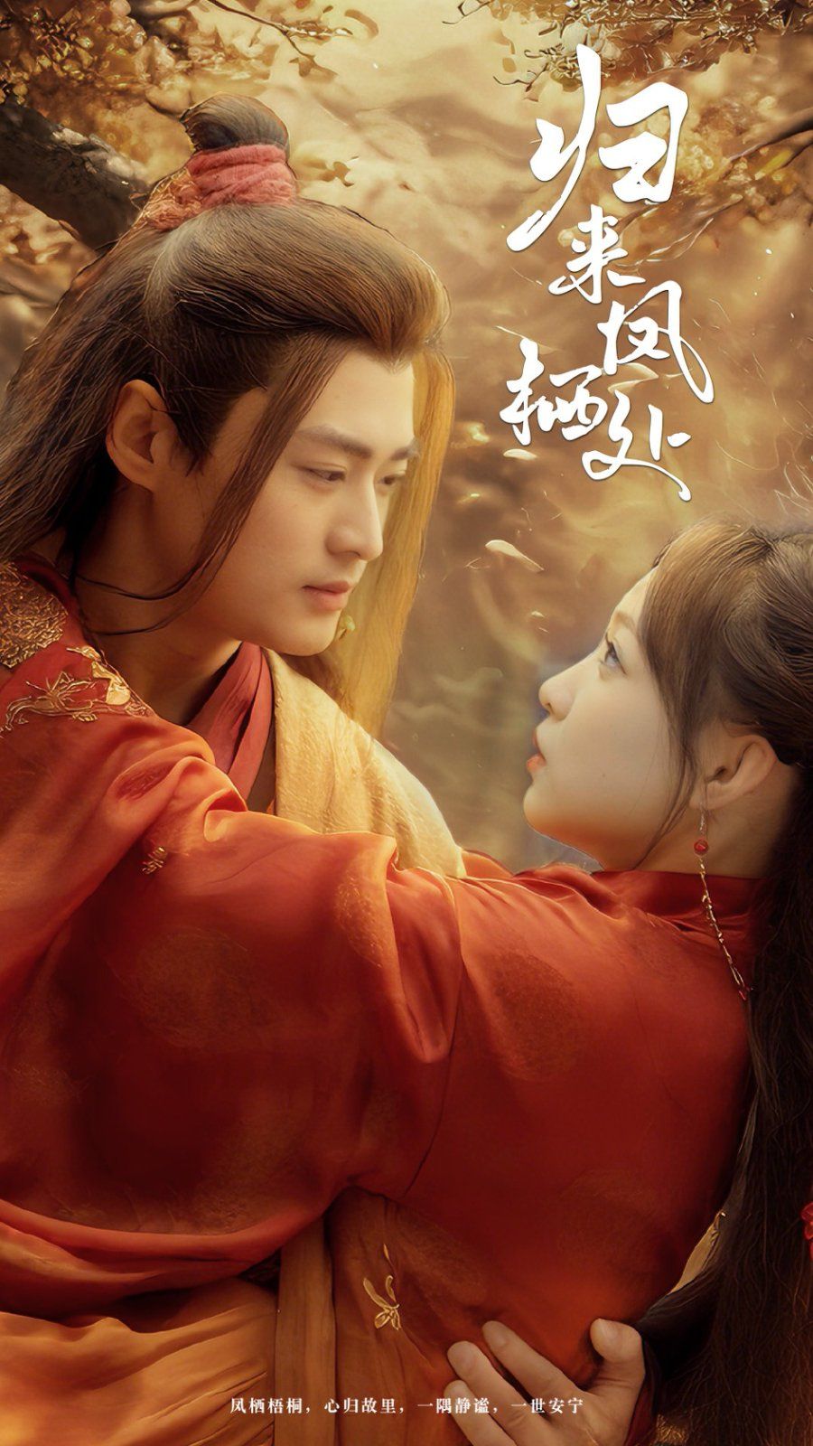 归来凤栖处 第21-40集