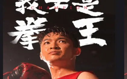 我不是拳王 第41-60集