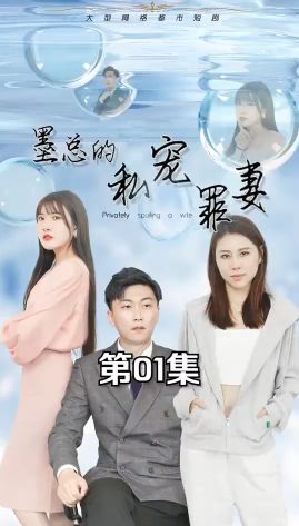 墨总的私宠罪妻 第1-20集