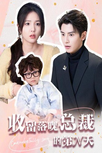 收留落魄总裁的第N天 第21-40集