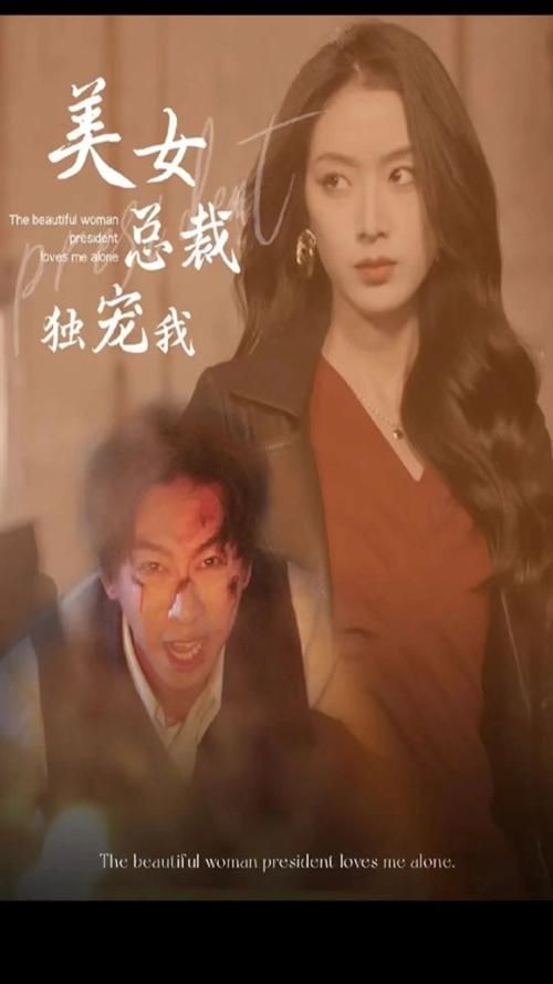 美女总裁独宠我 第31-60集