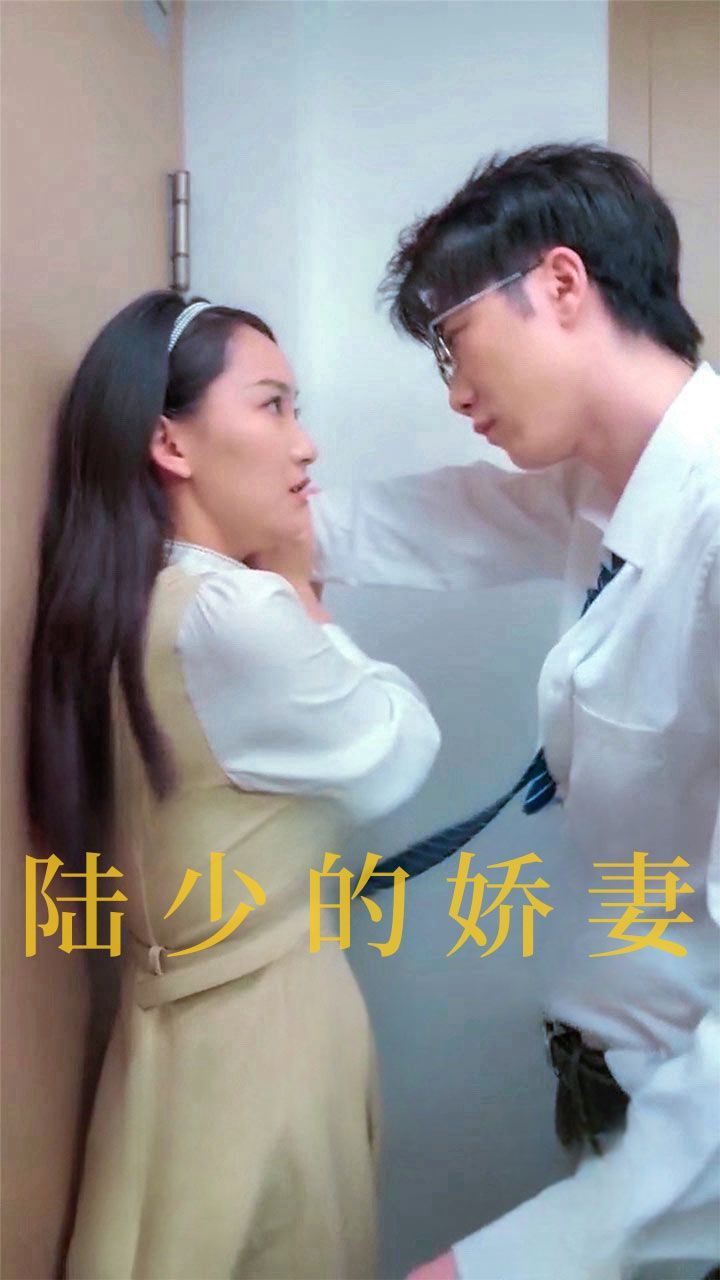 陆少的娇妻 全集(大结局)