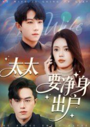 太太要净身出户(全集)