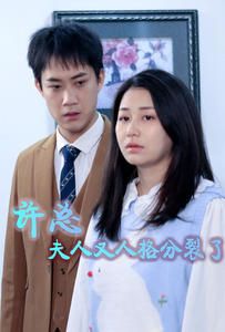 许总，夫人又人格分裂了 第41-60集