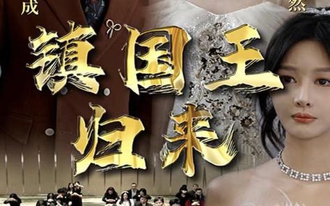 镇国王归来 第1-30集