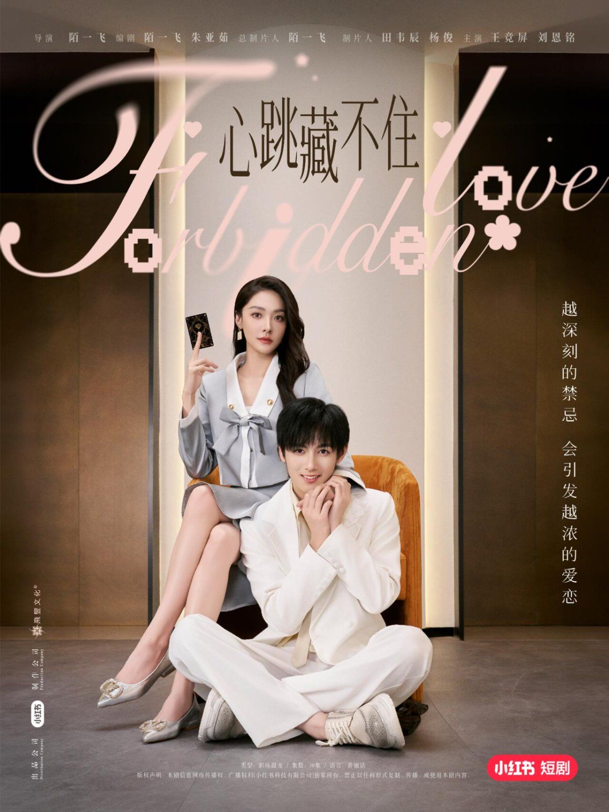 心跳藏不住 全集(大结局)