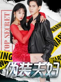 伪装夫妇 第1-20集