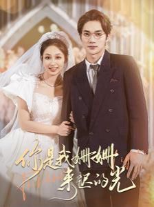 你是我姗姗来迟的光 第41-60集