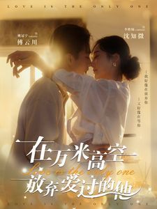 在万米高空放弃爱过的他 第21-40集