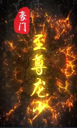 豪门至尊龙少 第41-60集