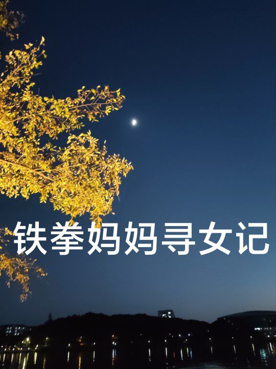 铁拳妈妈寻女记 第1-20集