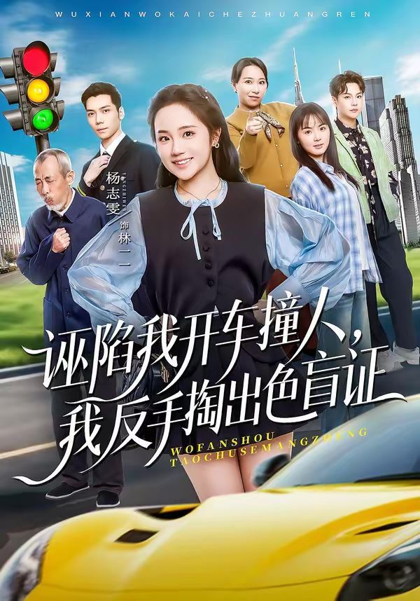 诬陷我开车撞人，我反手掏出色盲(全集)