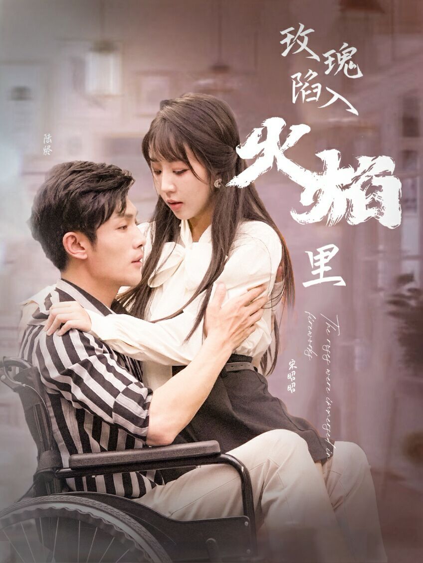 新玫瑰陷入火焰里 第61-80集