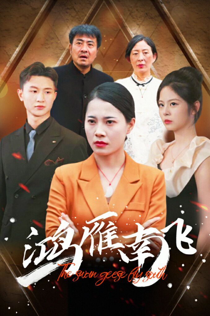 鸿雁南飞 第21-40集