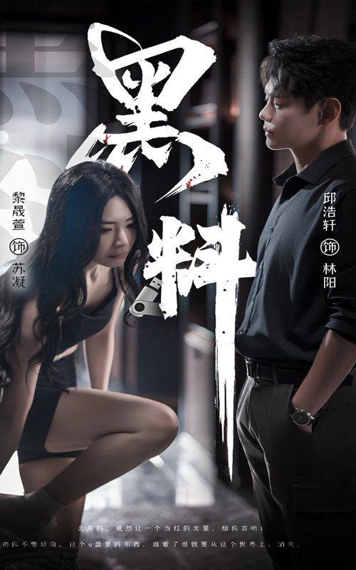 黑料（紫雾之下） 第1-20集